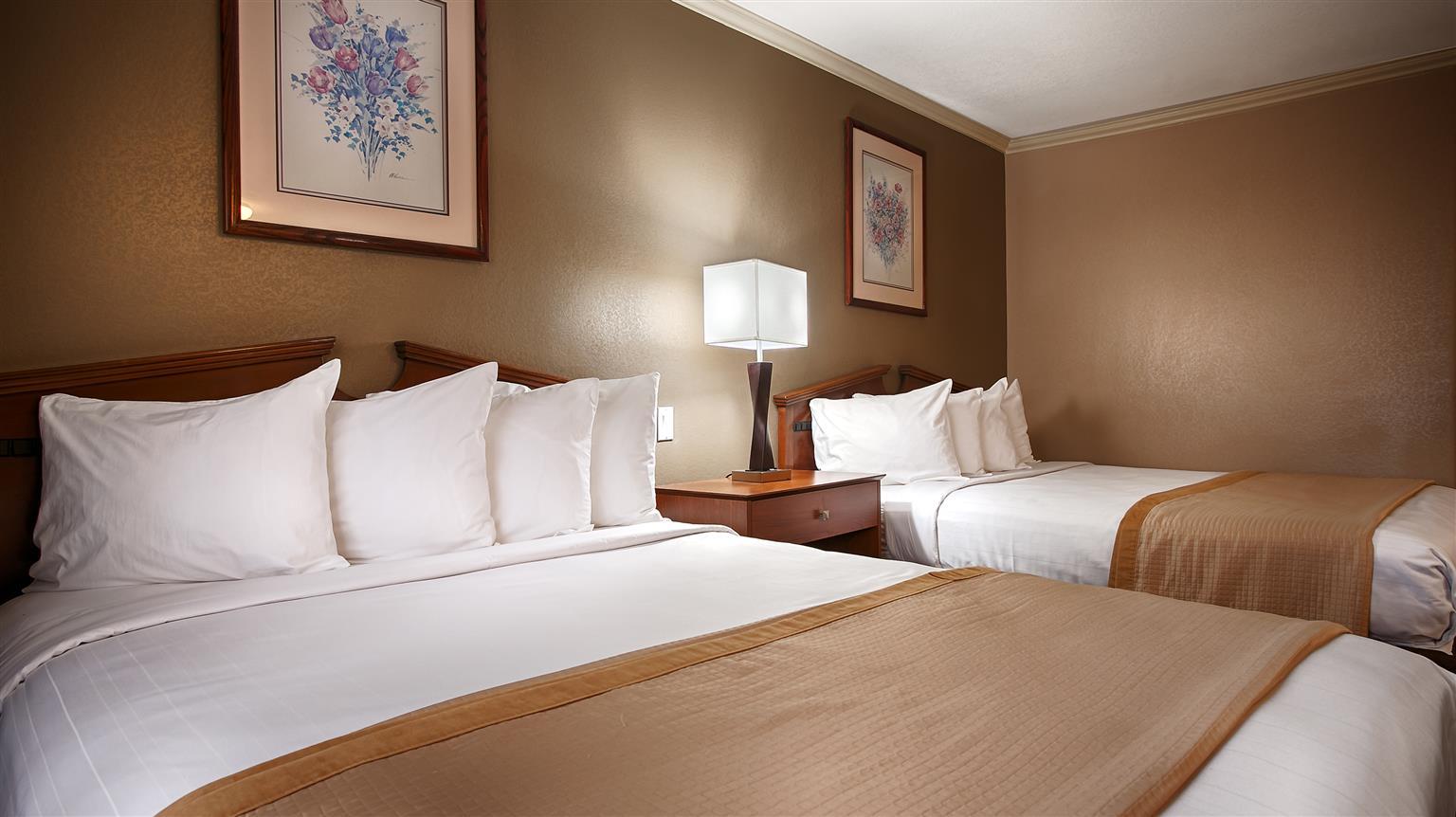 Hotel Western 3*